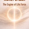 Kidney And Spleen The Engine Of Life Force600