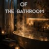 Secrets Of The Bathroom600